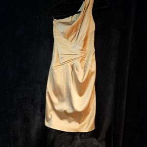 Cache Dress